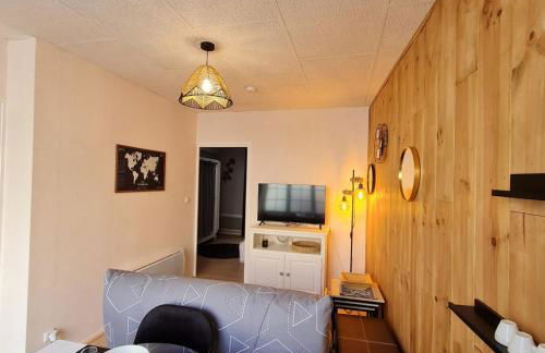 Bel appartement « Les Monts du Cantal » - Photo 9