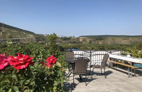 Weingut & Gästehaus Andreas Erz - Foto 15