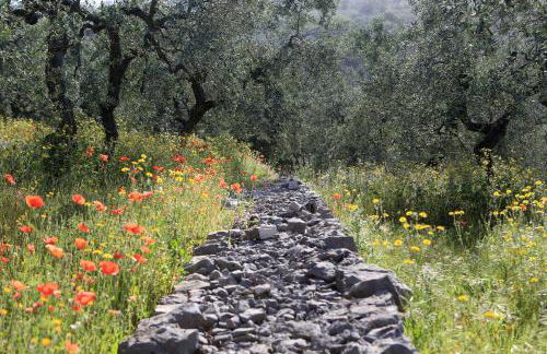 Casale Madeccia - Foto 32