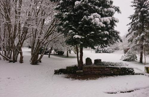 Im Buchenwäldchen - ruhig gelegenes Haus in der Natur für bis zu 12 Personen - Foto 40