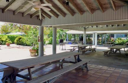Conch in the Treetops by Last Key Realty - Foto 42