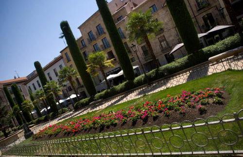 Salamanca Suite Studios - Foto 30