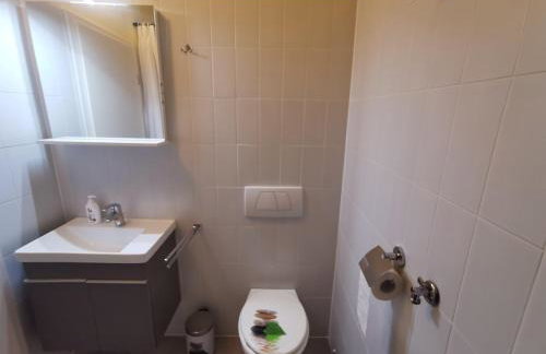 Villa Suzi - Family Farm Stay with Donkeys, Pool and Sea View near Rijeka - Photo 79