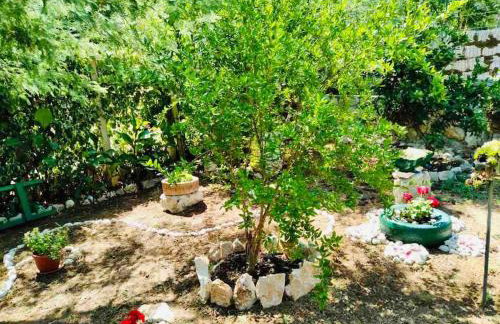 LILY's Peaceful Oasis- BRAND NEW - Foto 21