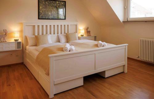 Ferienwohnung Schwarzwaldnest 2 - black forest nest 2, im Herzen von Emmendingen - Foto 1