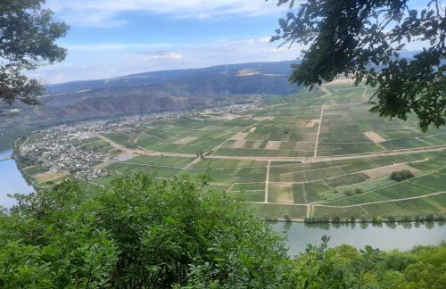 A&A Urlaubswohnung Piesport - Foto 1