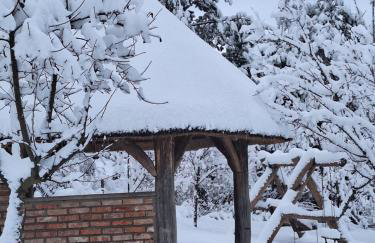 Przystanek Soszyca - Foto 2