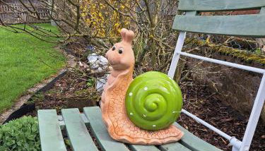 Pension Andrea - Photo 4