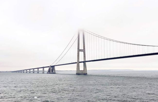 8 Person Holiday Home in Store Fuglede - Foto 32