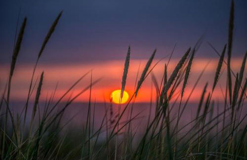 Dünenblick Premium-Apartments - Foto 9