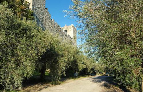 Bellavista la tua romantica vacanza sul Trasimeno - Foto 55