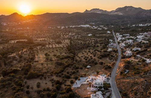 Alkema Horizon - Foto 73