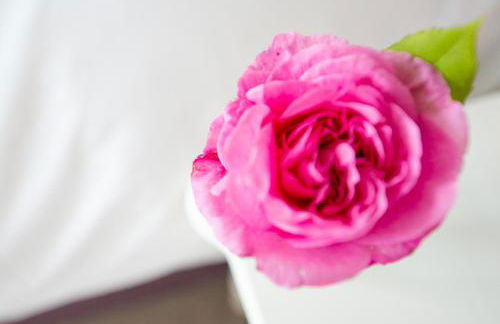 The Mount self-catering - Foto 7