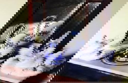 Agroturismo La Casona de Belmonte - Foto 31