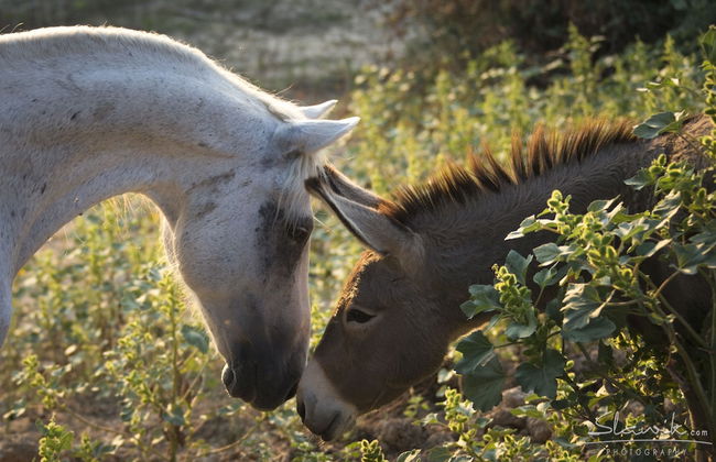 Castellare di Tonda Resort & Spa - Photo 49