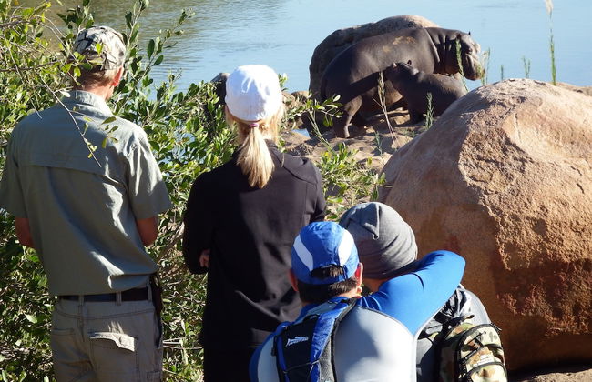 Blyde River Cabin Guesthouse - Foto 16