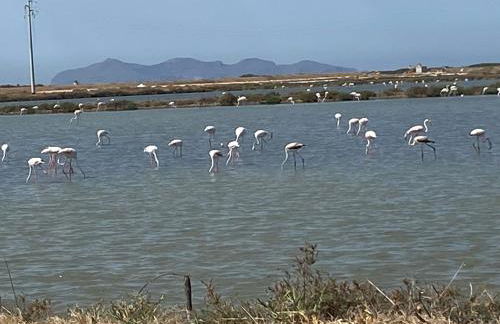 Villa Giulia sul Mare - Foto 75