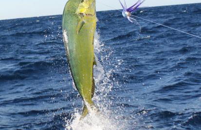 The Beach on Longboat Key - Foto 46