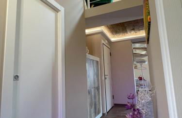 Attico 800 - Foto 31