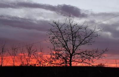 Nonna Miry - Foto 21