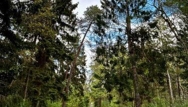 AAR Nordsee Appartement - Foto 3