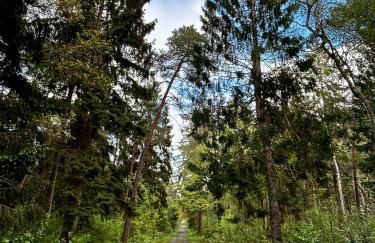 AAR Nordsee Appartement - Foto 3