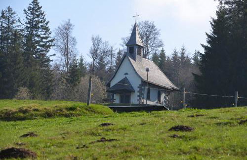 Drei Tannen - Foto 70