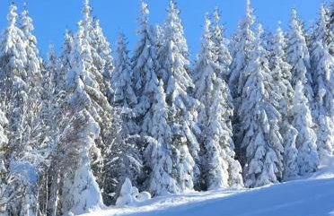 GreenHolidays - Foto 49