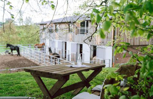 Studio Zwei - Foto 17