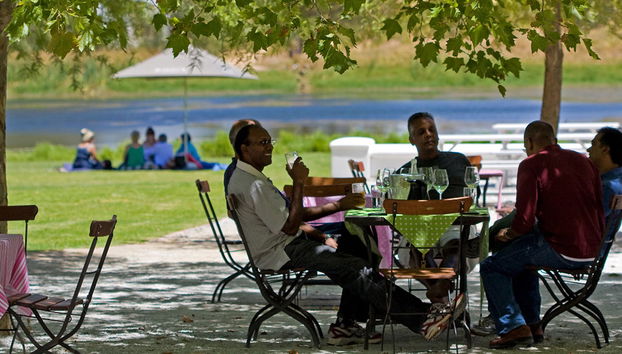 Stellenbosch Winelands - Tour de medio día - Foto 4