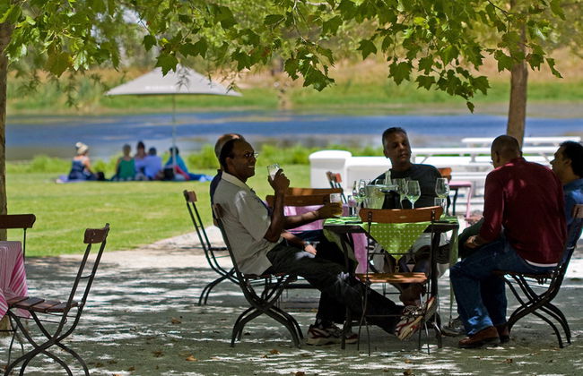 Stellenbosch Winelands - Tour de medio día - Foto 4