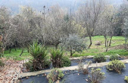 La casa di Noah - Foto 14