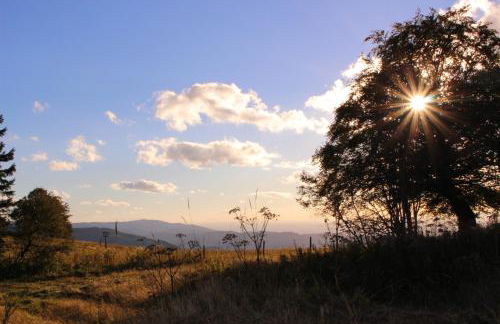 Sport Rees - Ferienwohnung Stefanie - Foto 34