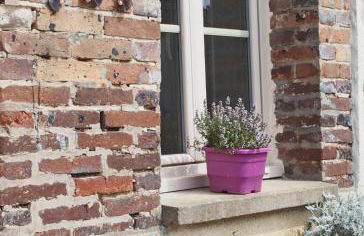 La Ferme de Flo' - Foto 18