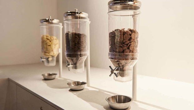 Different types of chocolate