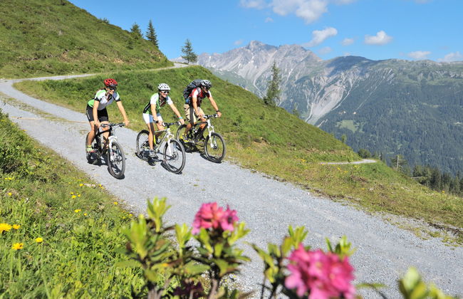 Hof am Schönbach - Foto 19