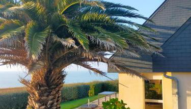 Trouz ar mor - Foto 5, Garden view