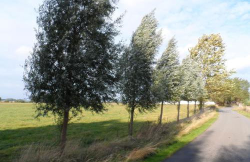 Haus Schmidt - Photo 17