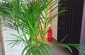 "Naias"seaside residence in the port of Piraeus-entire holiday home - Foto 22