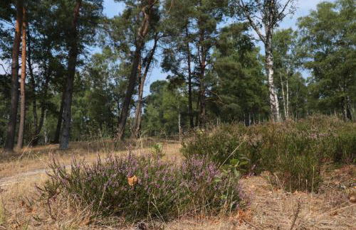 Ferienwohnungen / Ferienhaus Wahlers - Foto 22