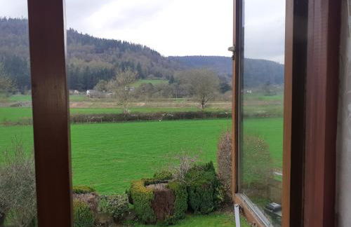 Eagles View - Photo 34