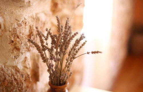 Olive's Hug - Foto 25