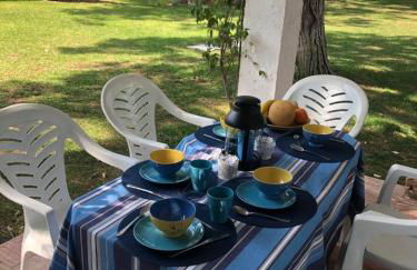 Amazing Algarve - Albufeira - Foto 7