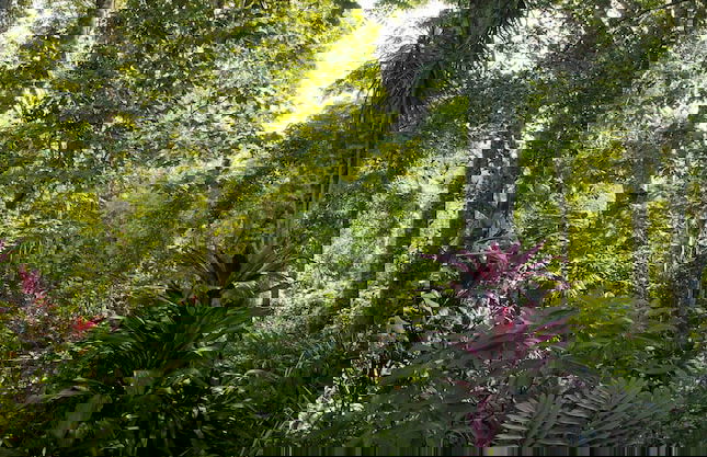 Sharlynn by the River - Foto 35