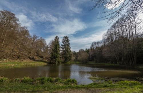 Mountain Lake View - Foto 74