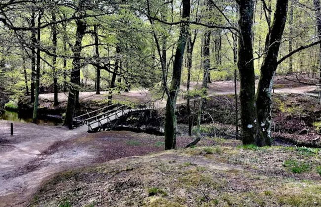 6 Person Holiday Home in Frederikshavn-by Traum - Foto 48