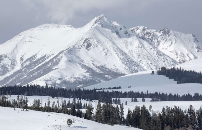 The Danbury - Foto 7