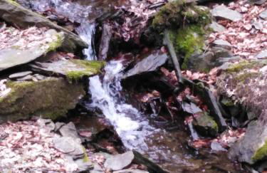 Ferienhaus Cilla - Foto 33