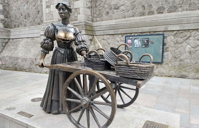 Tour privado por Dublín - Foto 6