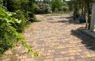 Il Fenicottero - Foto 10